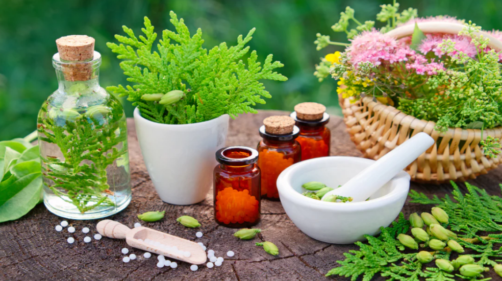گیاهان مؤثر برای التهاب لثه | راهنمای جامع درمان طبیعی